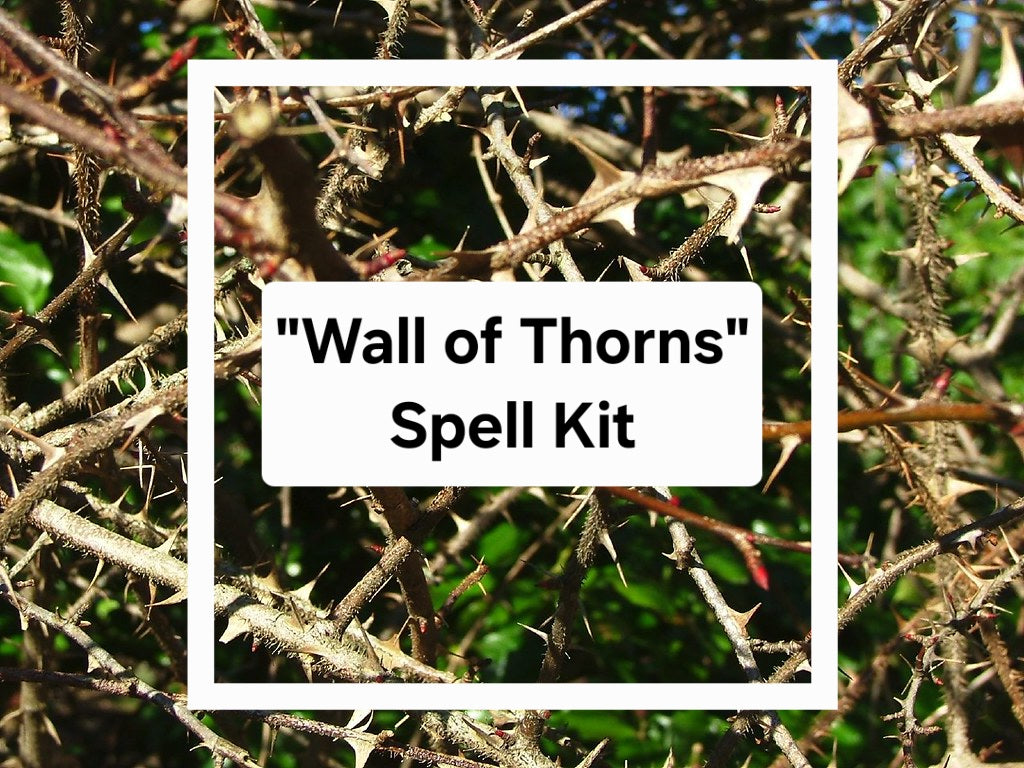 "Wall of Thorns" Spell Kit